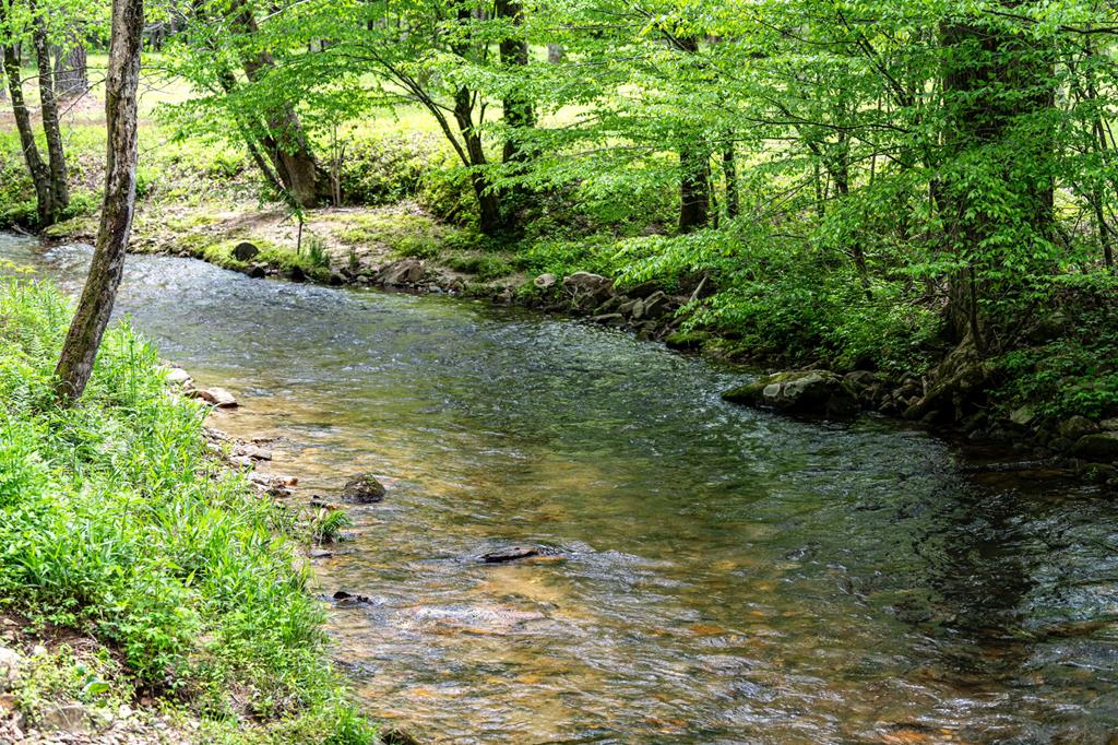 Lot 3 Spring Camp Road