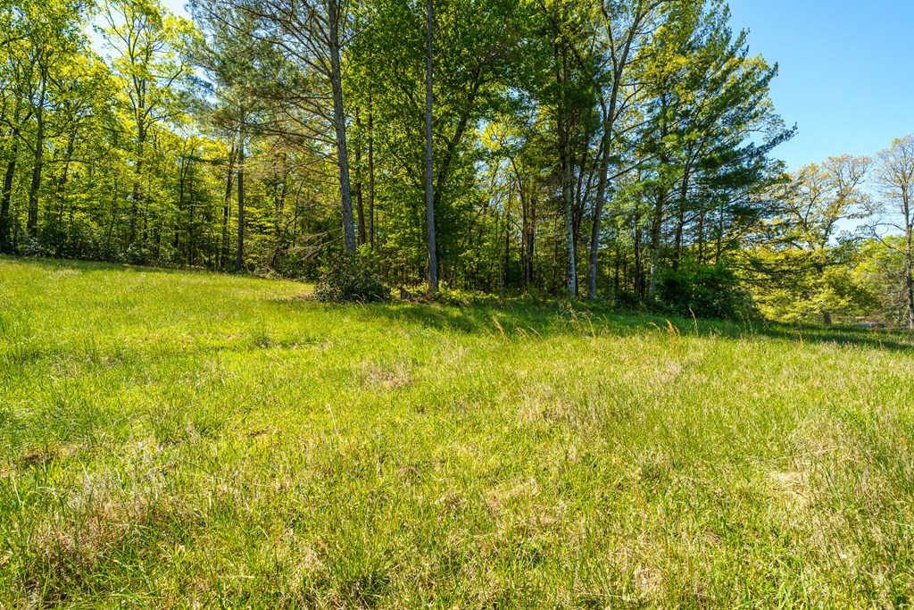 Lot 3 Spring Camp Road