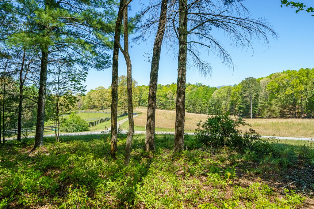 Lot 3 Spring Camp Road