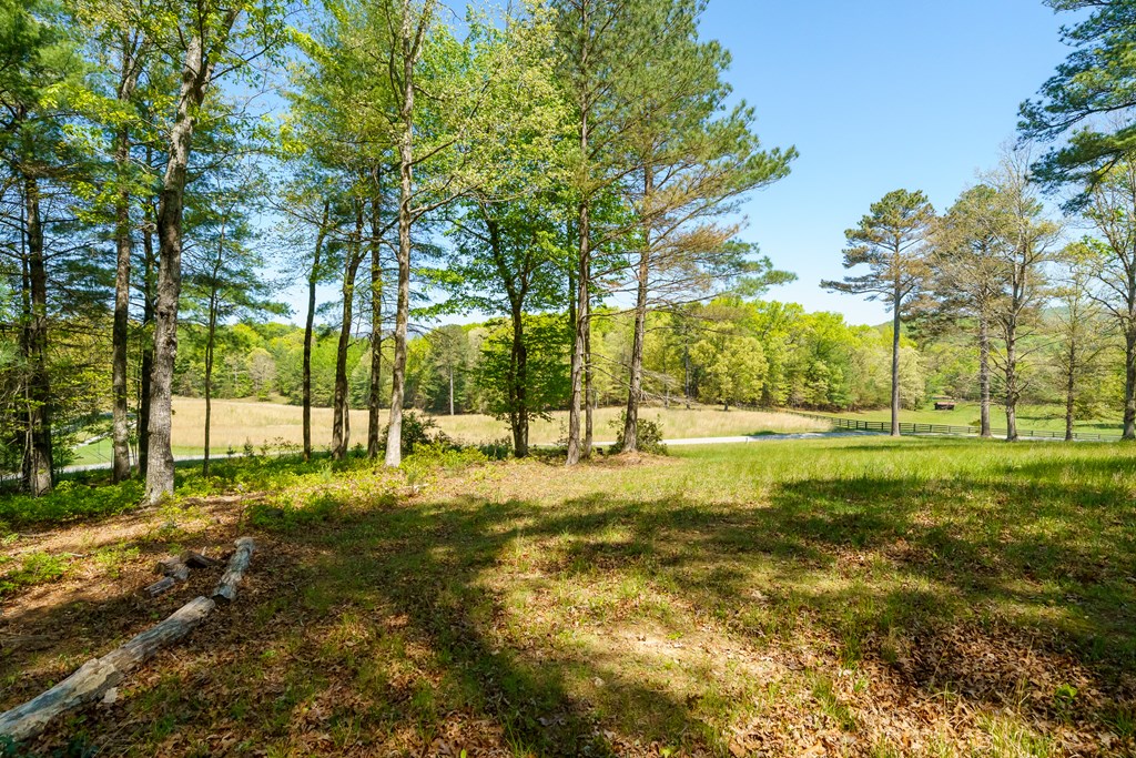 Lot 3 Spring Camp Road