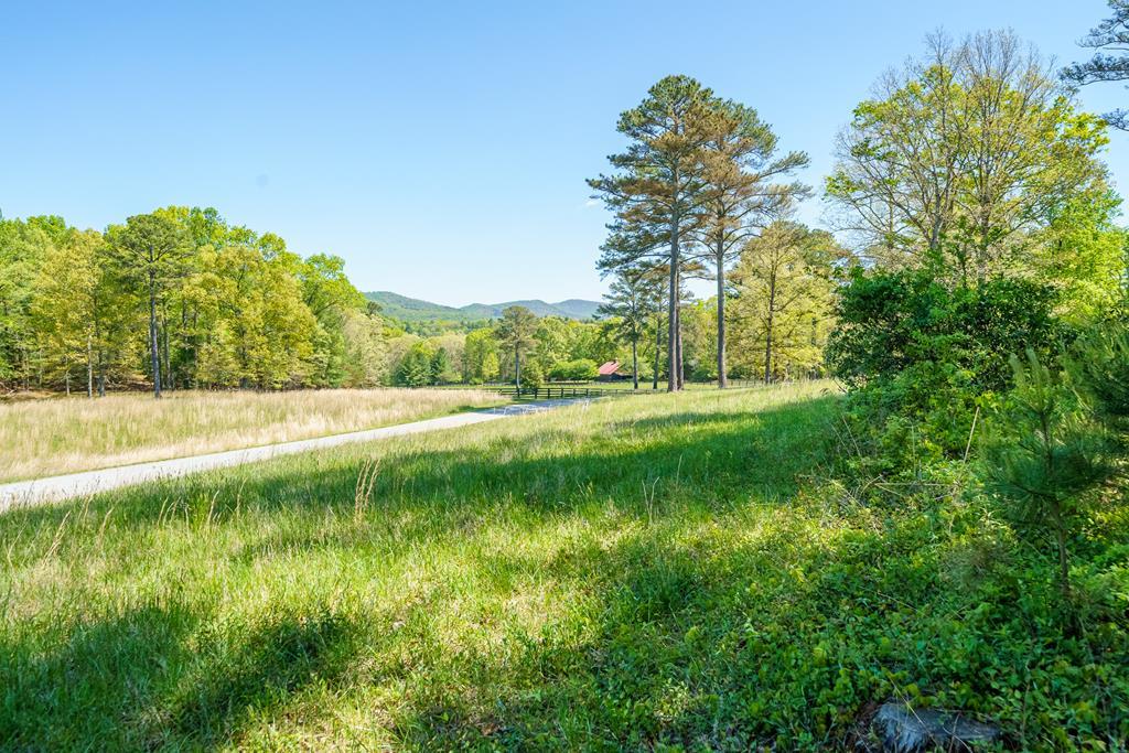 Lot 3 Spring Camp Road
