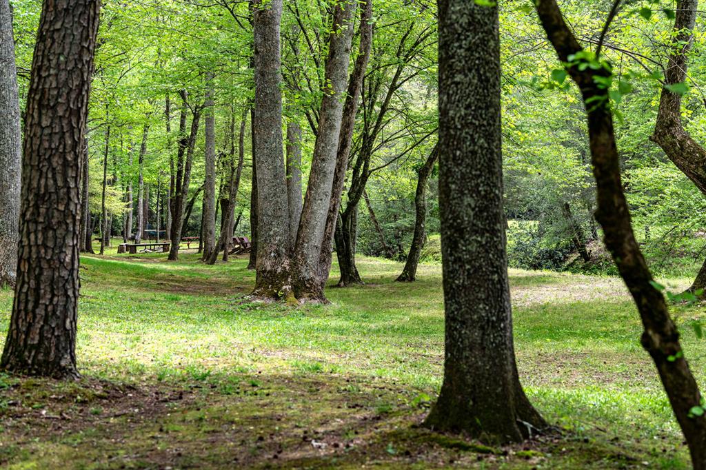 Lot 3 Spring Camp Road