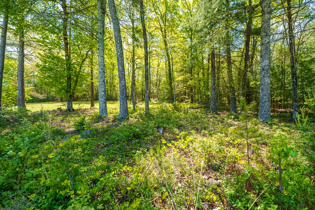 Lot 3 Spring Camp Road