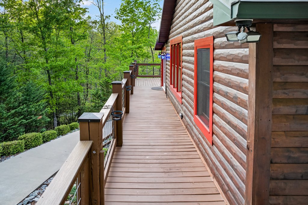 19 The Forest Road
