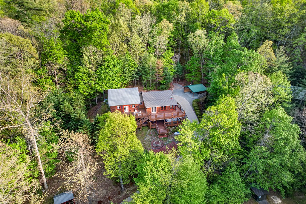19 The Forest Road