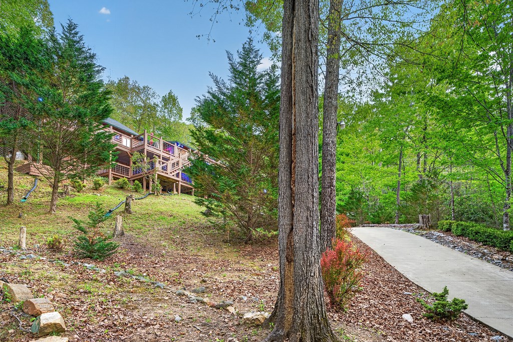 19 The Forest Road