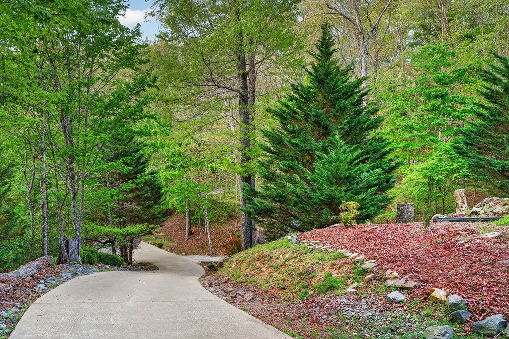 19 The Forest Road