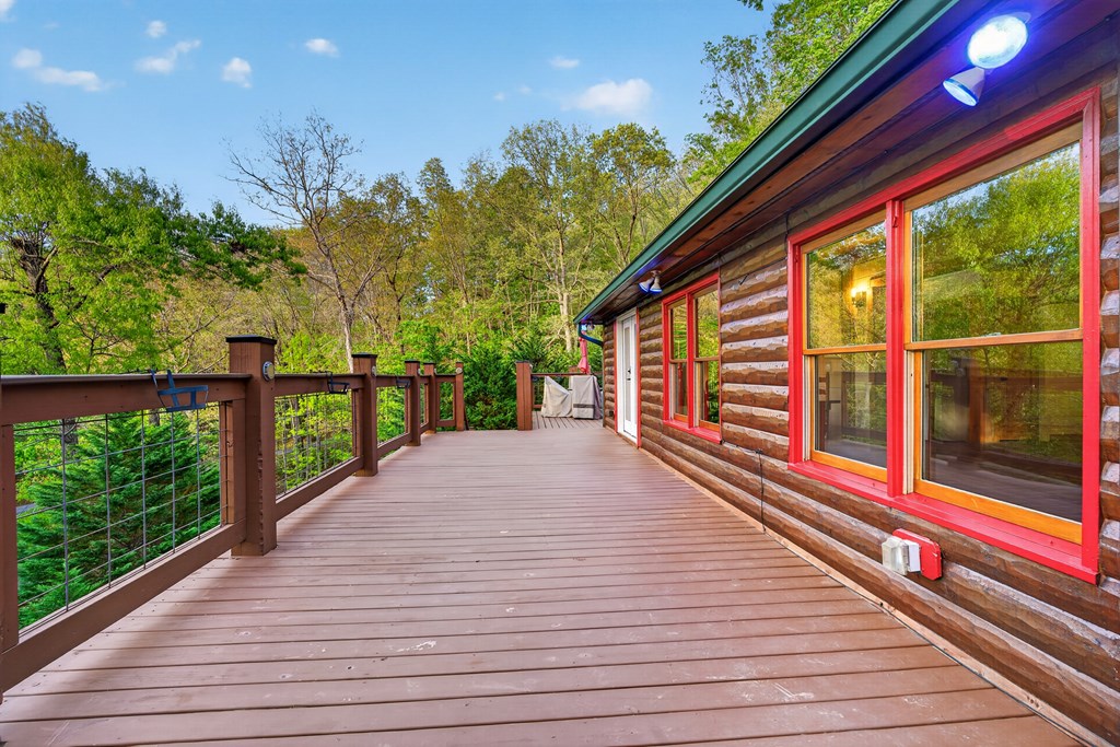 19 The Forest Road