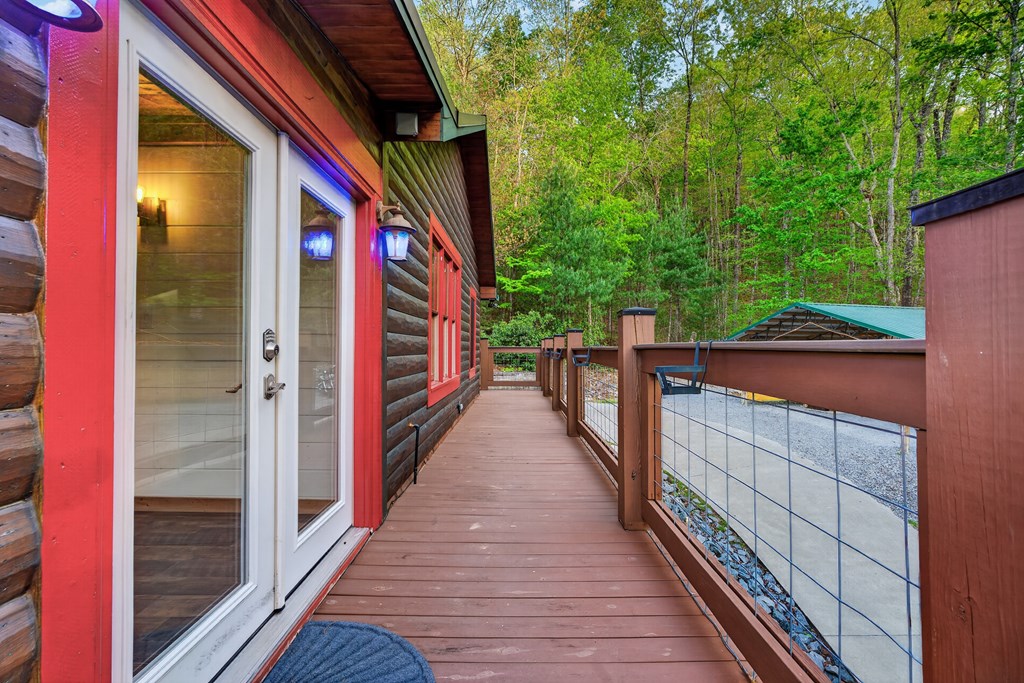 19 The Forest Road