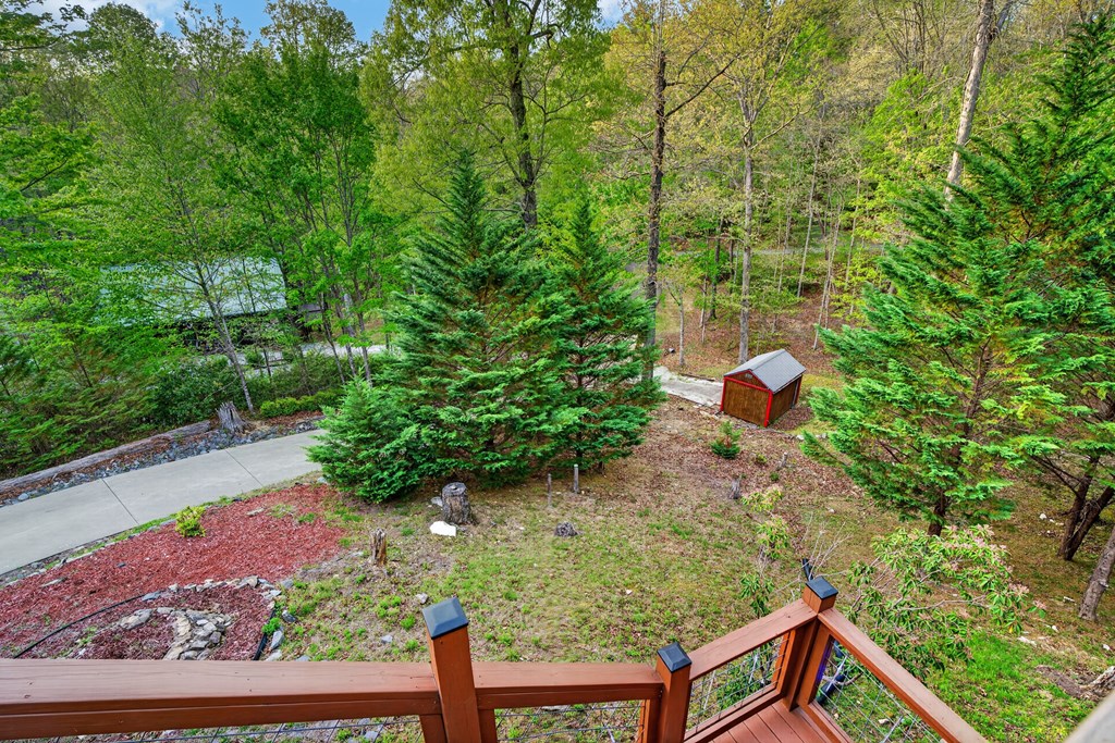 19 The Forest Road