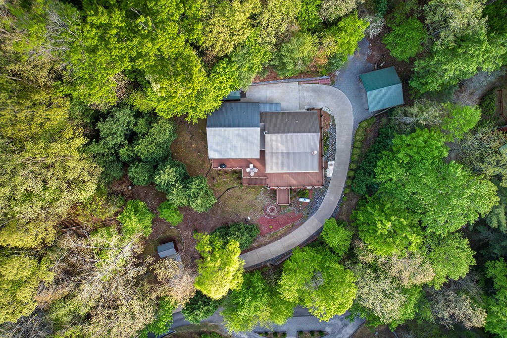 19 The Forest Road