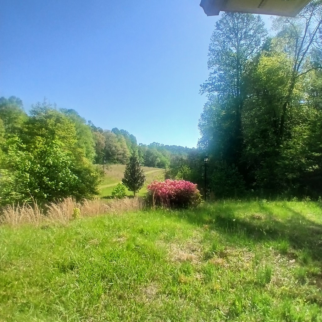 7391 Boardtown