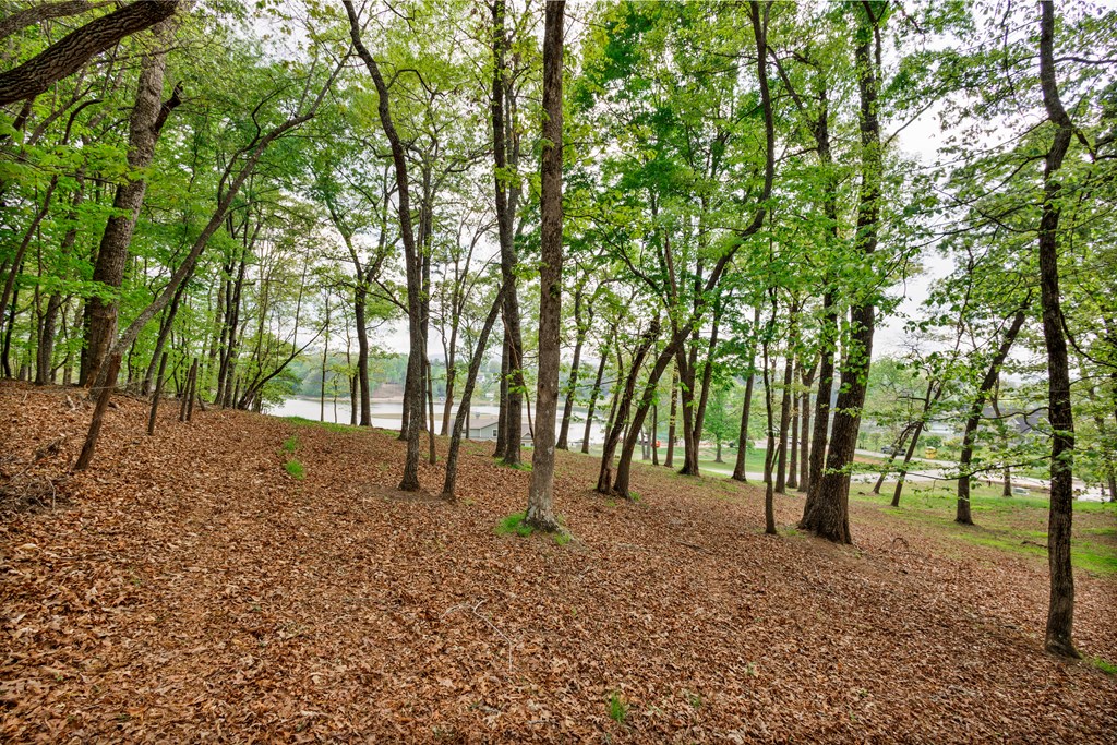 Lot 29 Open Water Lane