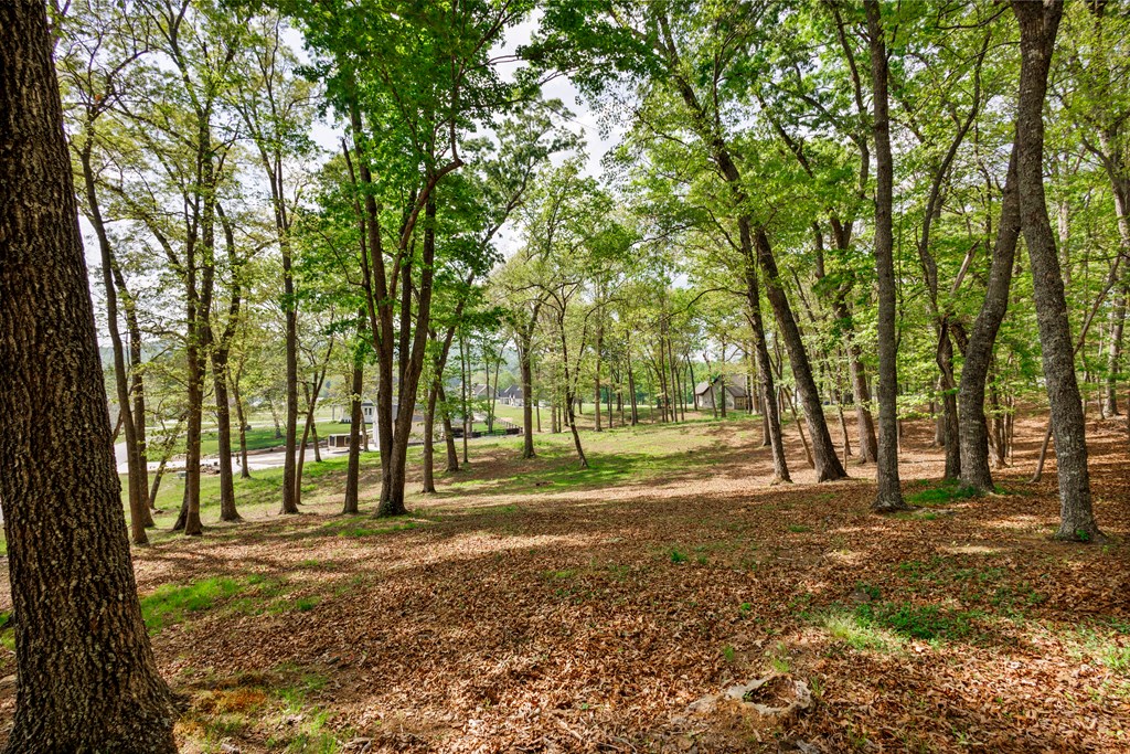 Lot 29 Open Water Lane