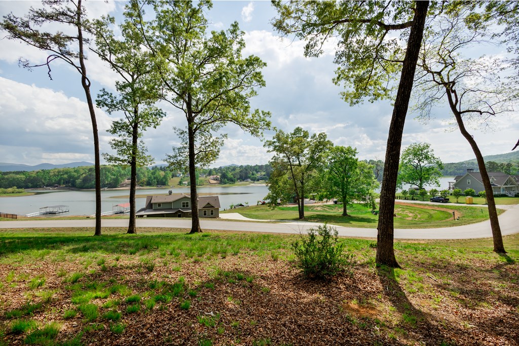 Lot 29 Open Water Lane