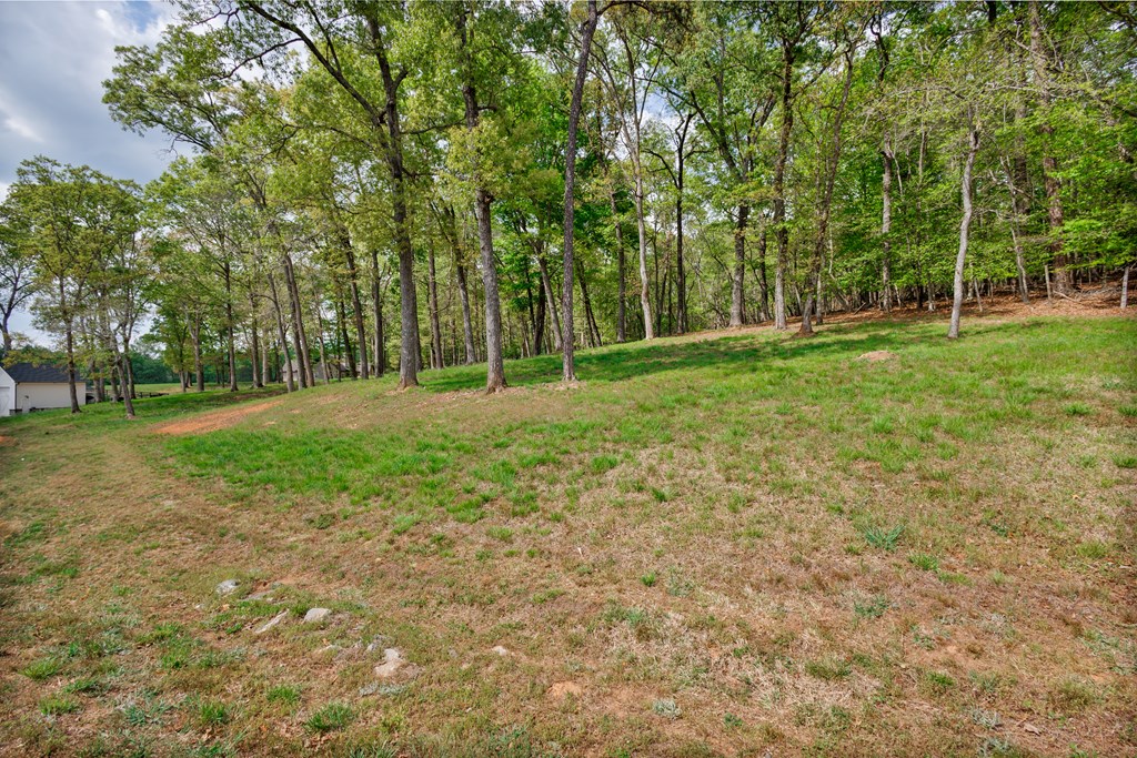 Lot 29 Open Water Lane