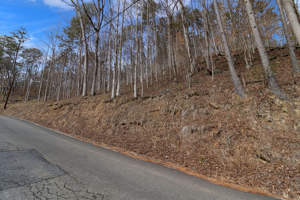 Lot 2965 Monticello Drive