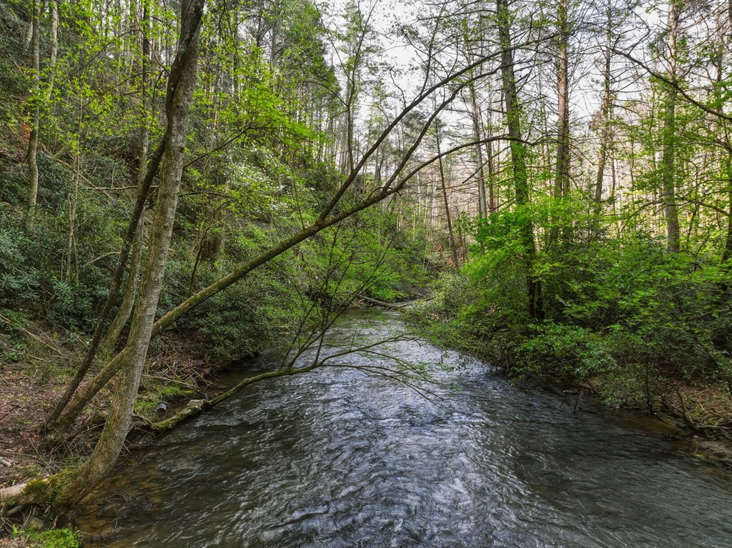 58 River Road