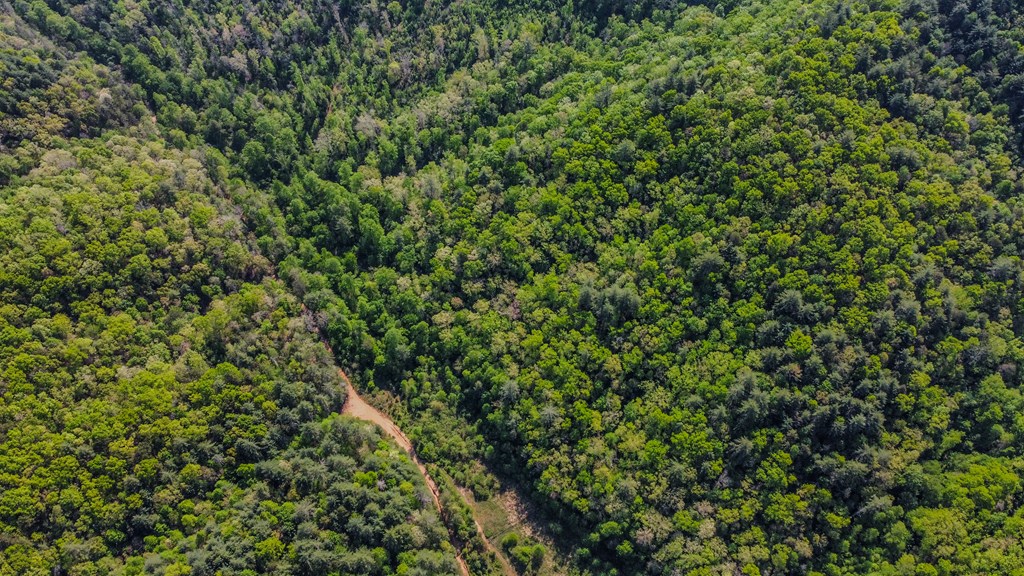 80 Acres Valley Lake Road