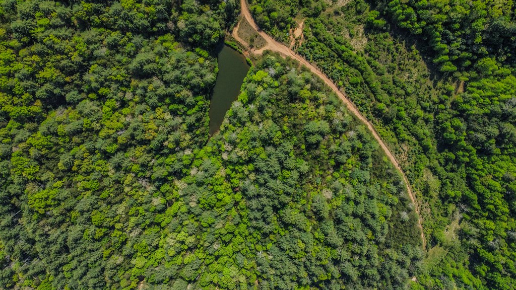 80 Acres Valley Lake Road