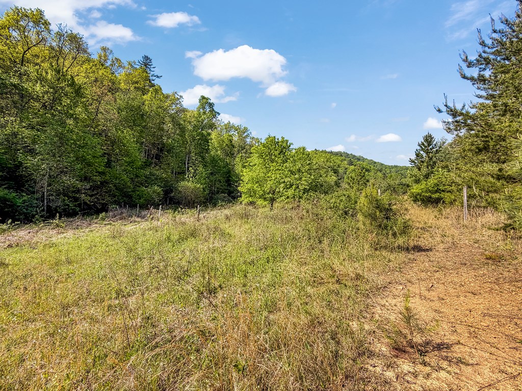 80 Acres Valley Lake Road