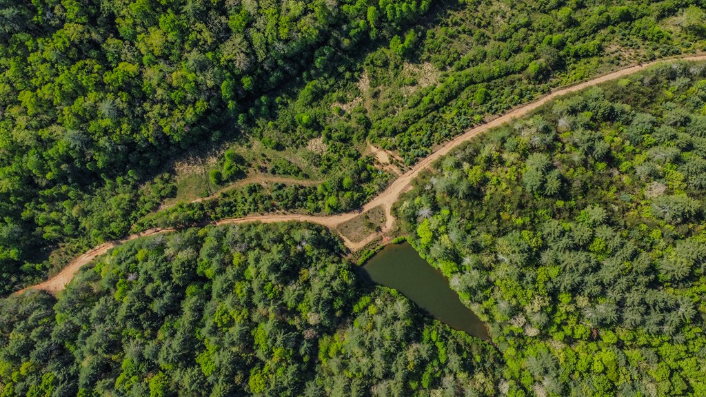 80 Acres Valley Lake Road