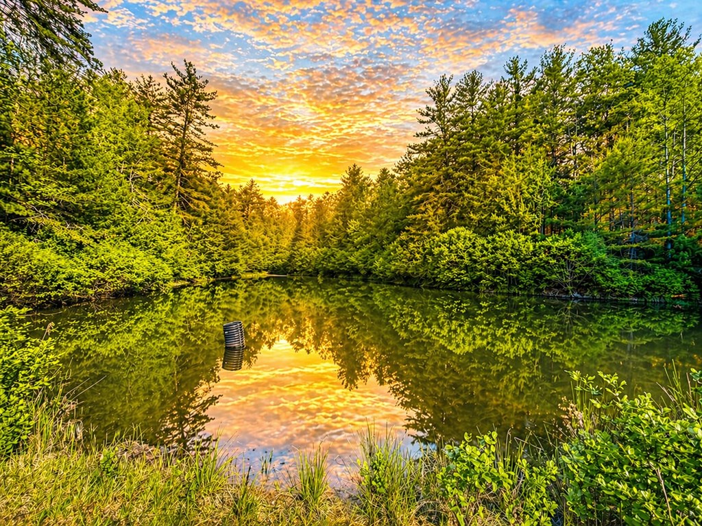 80 Acres Valley Lake Road