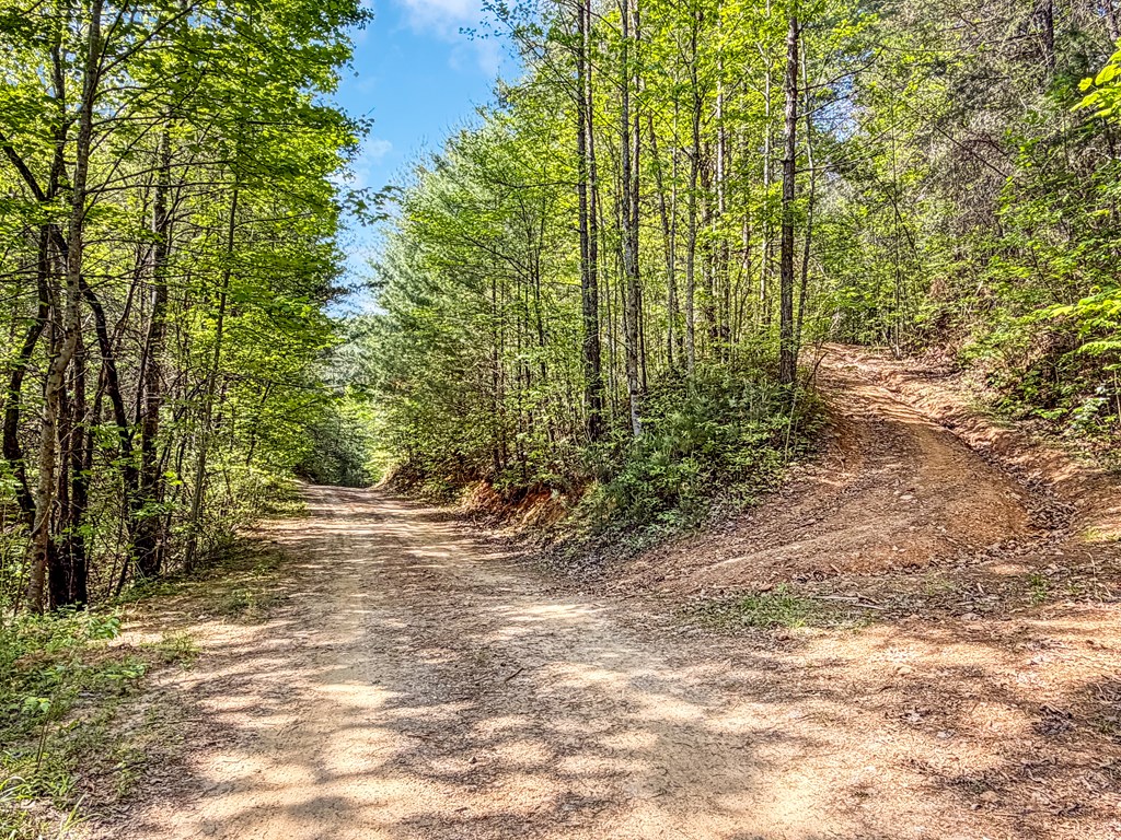 80 Acres Valley Lake Road
