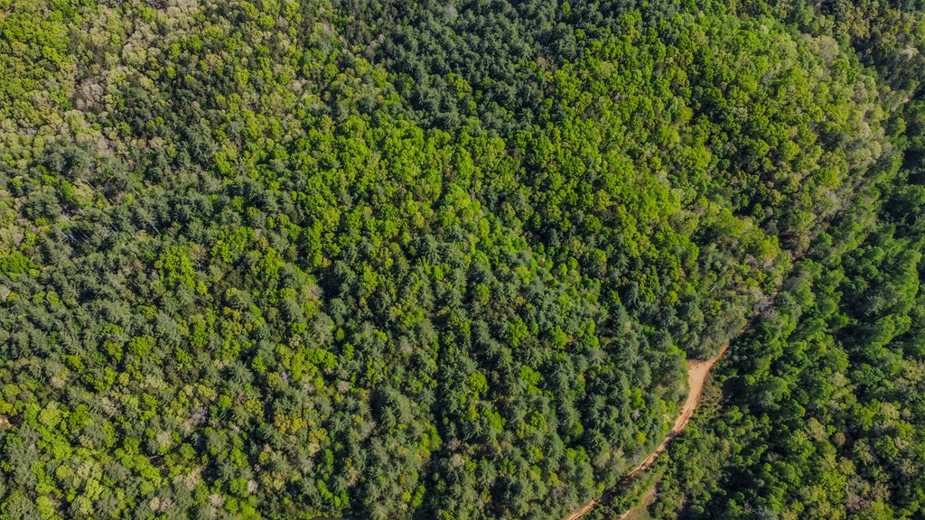 80 Acres Valley Lake Road