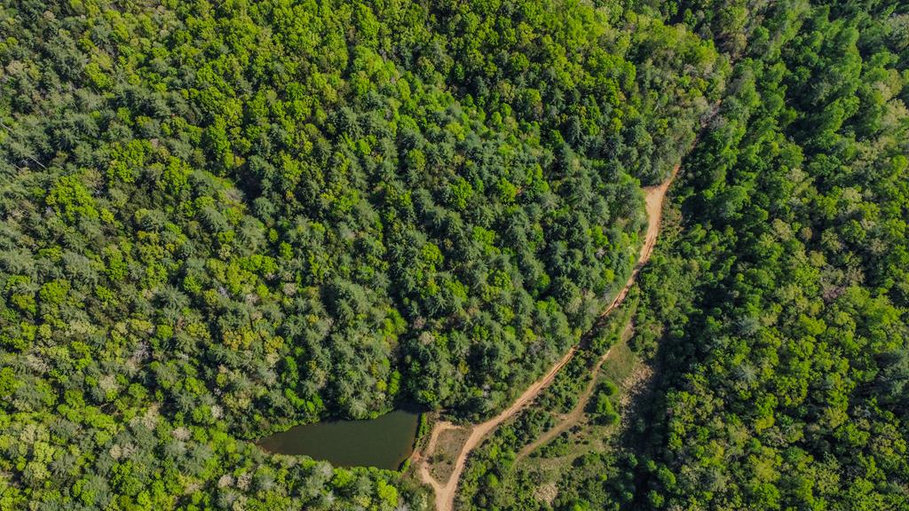 80 Acres Valley Lake Road