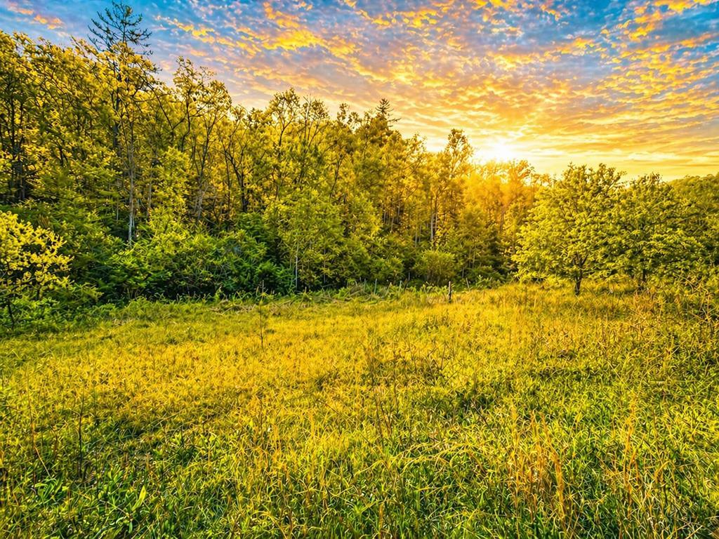 80 Acres Valley Lake Road