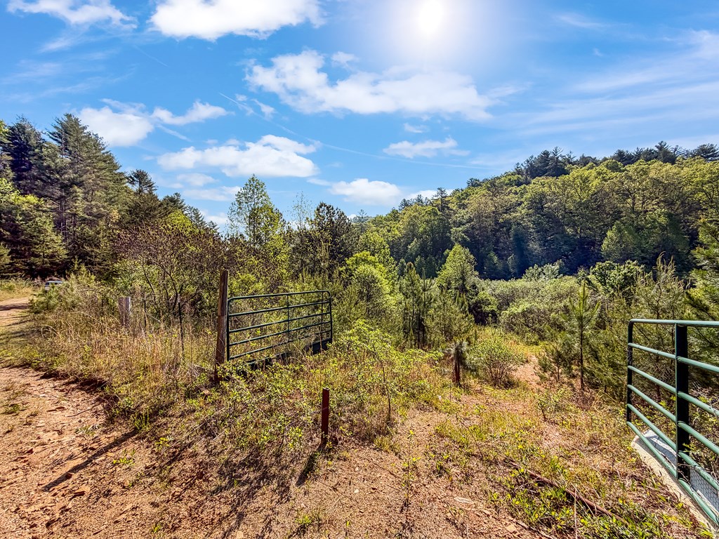 80 Acres Valley Lake Road