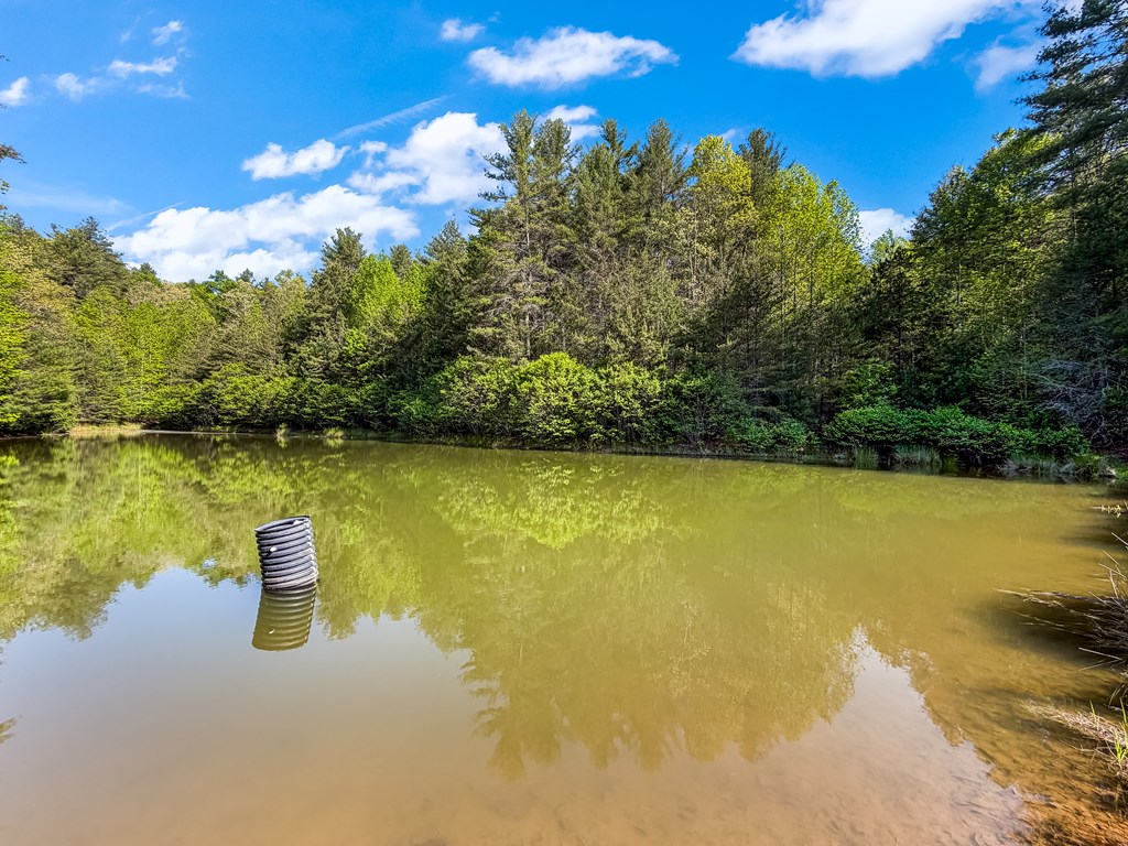 80 Acres Valley Lake Road