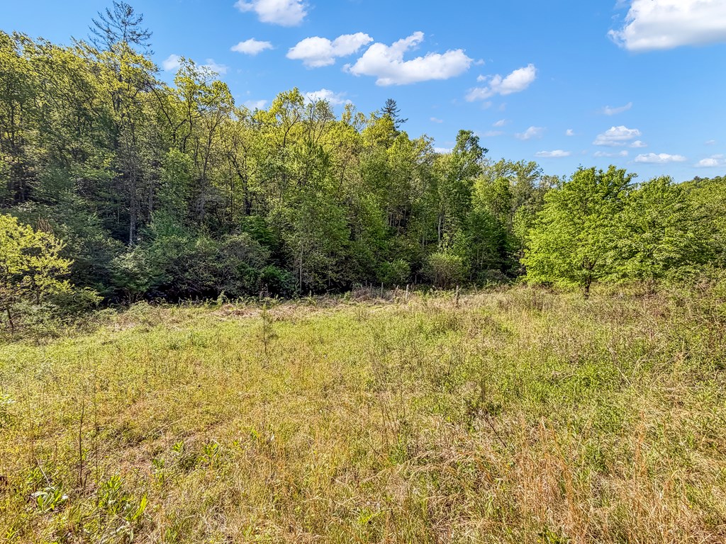 80 Acres Valley Lake Road