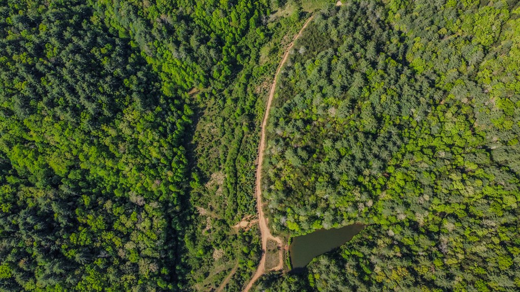 80 Acres Valley Lake Road