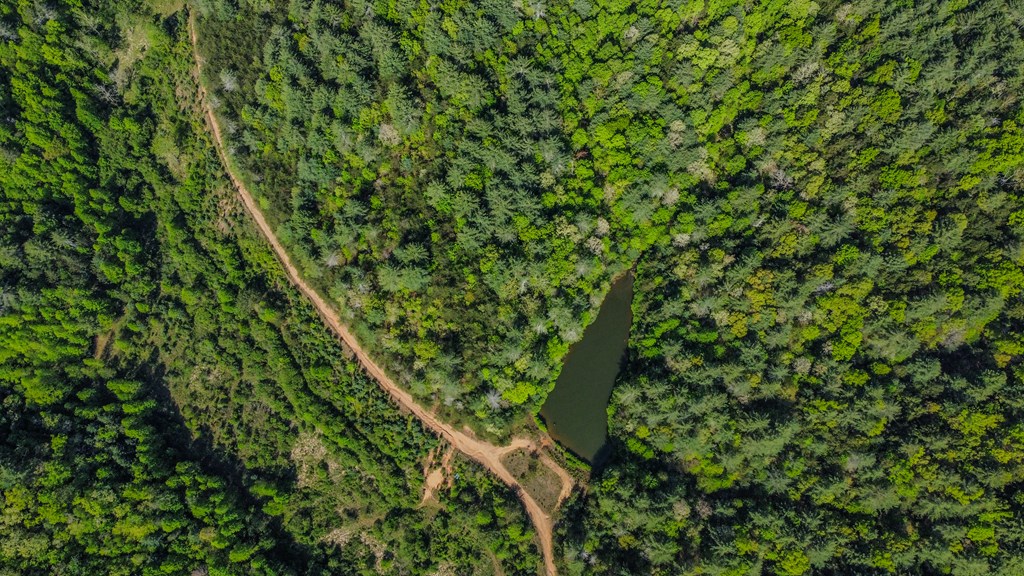80 Acres Valley Lake Road
