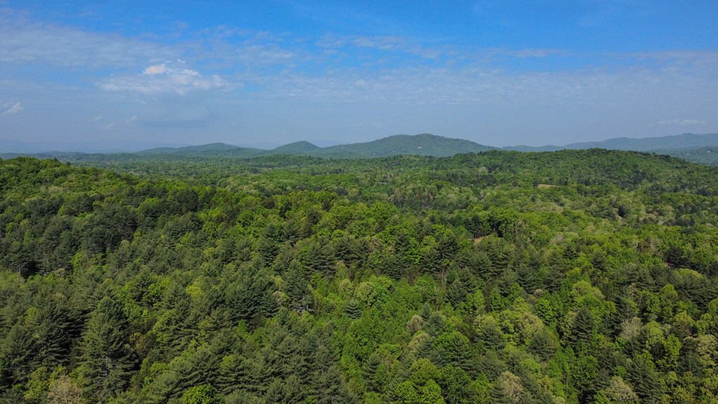 80 Acres Valley Lake Road