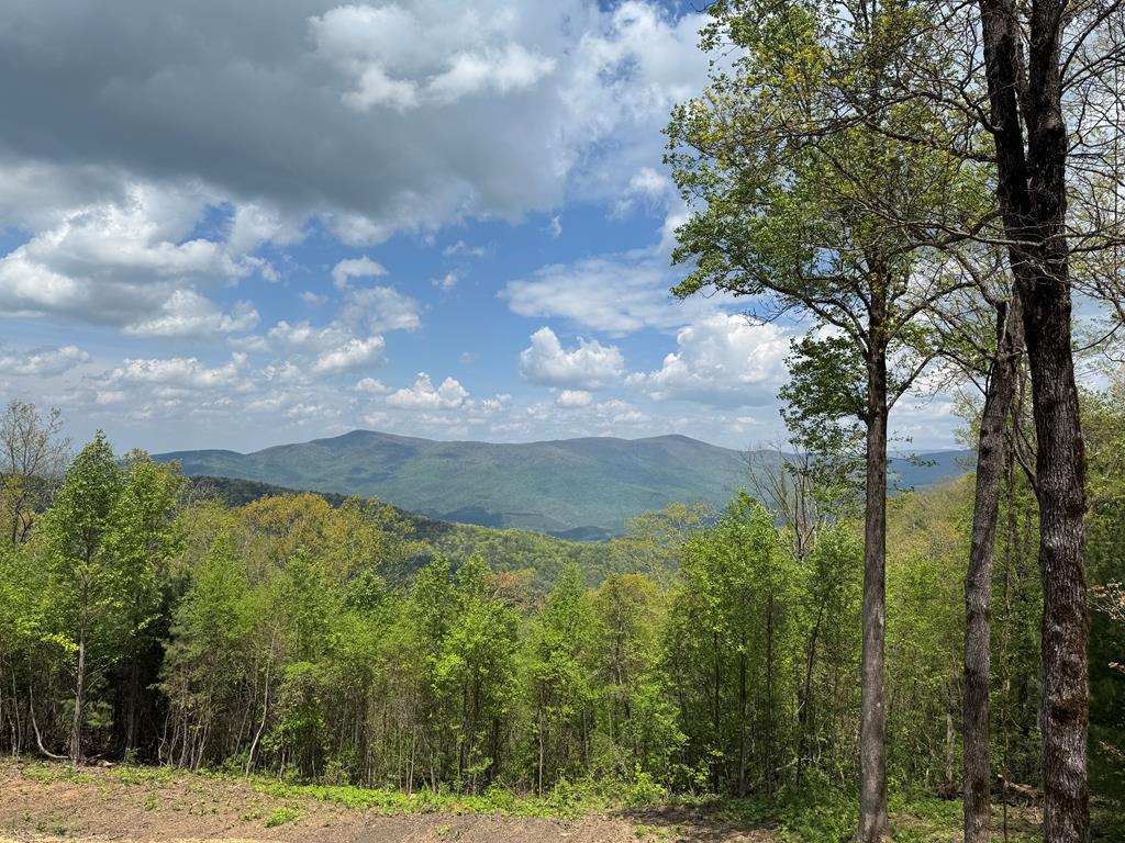 30 Wilderness View
