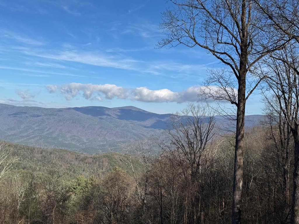 30 Wilderness View