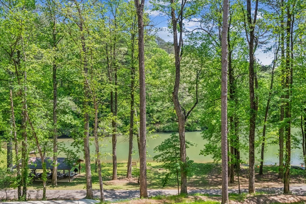 245 Timberwalk Drive