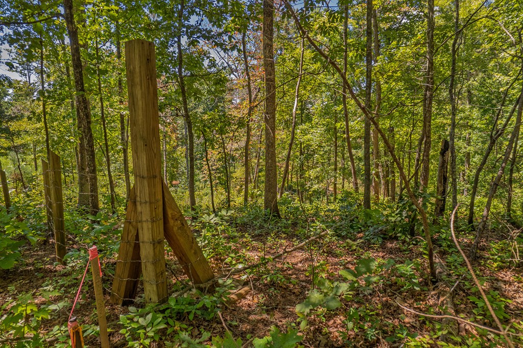 Lot 1 Harris Branch Road E