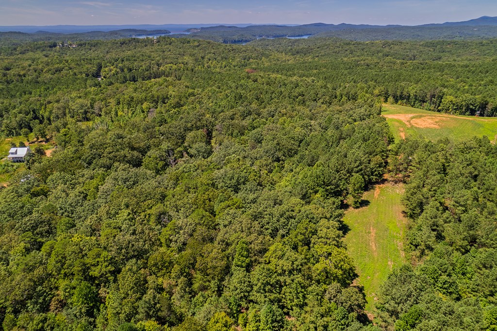 Lot 1 Harris Branch Road E