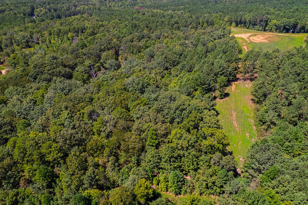 Lot 1 Harris Branch Road E
