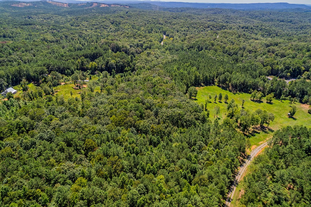 Lot 1 Harris Branch Road E