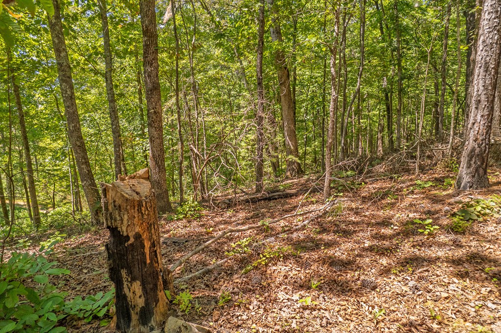 Lot 1 Harris Branch Road E