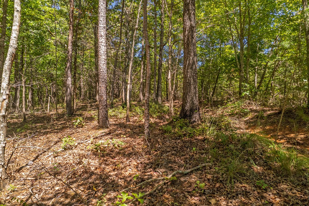 Lot 1 Harris Branch Road E