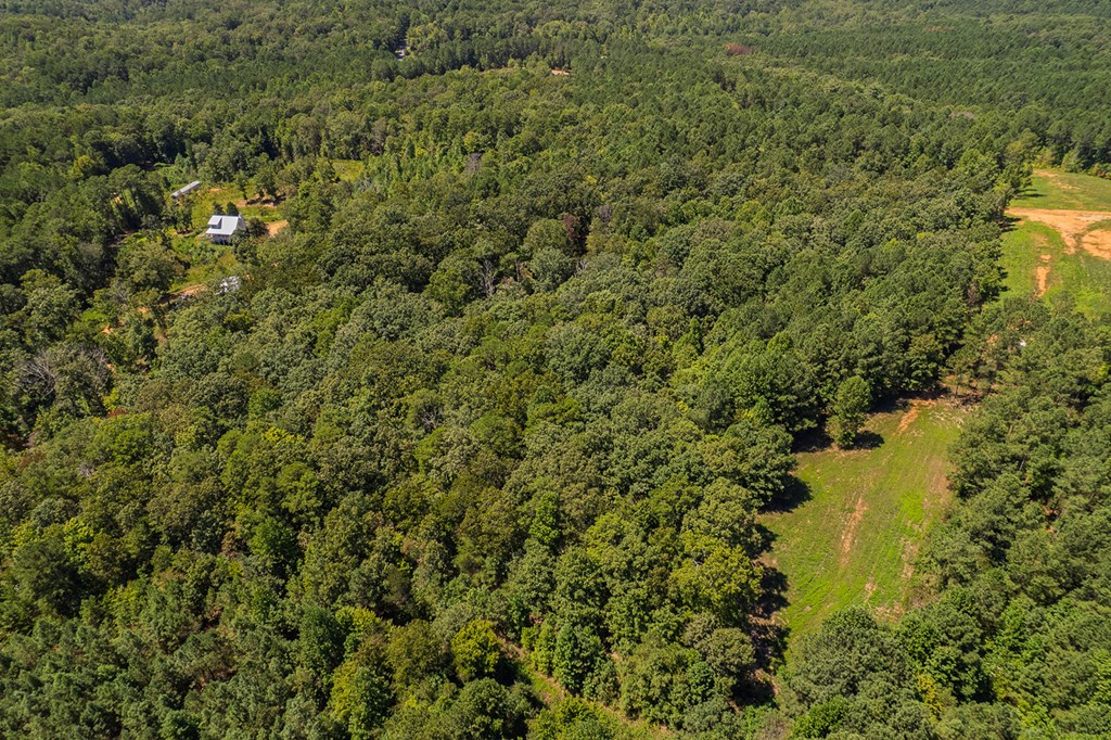 Lot 1 Harris Branch Road E