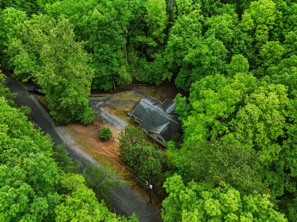 165 Pelican Drive