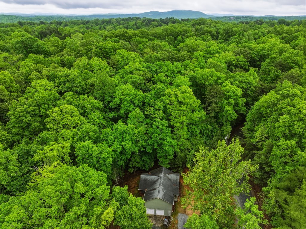 165 Pelican Drive