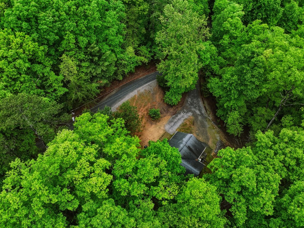165 Pelican Drive